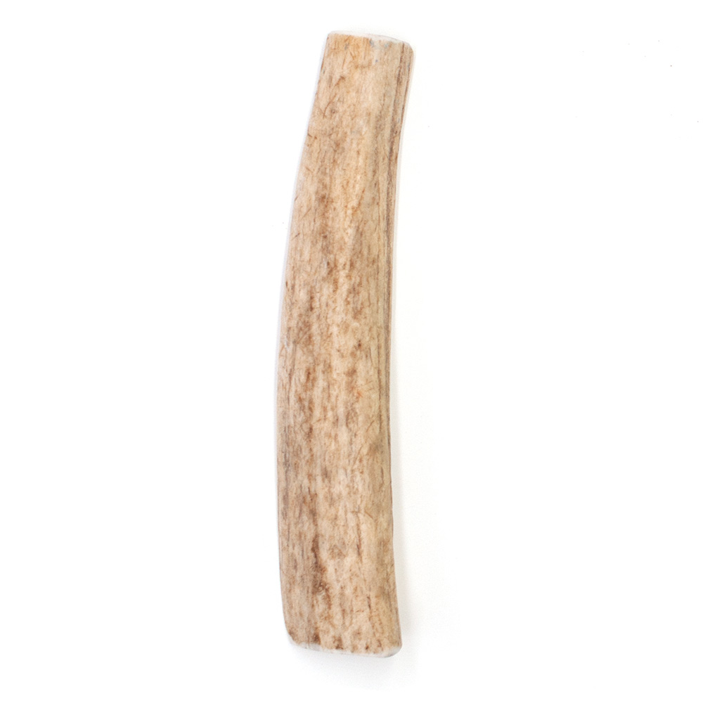 SPIZZLES-ELK-ANTLER-DOG-CHEW-CENTER-CUT-SMALL