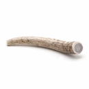 Spizzles Elk Antler Dog Chew - Solid (Medium) 5"