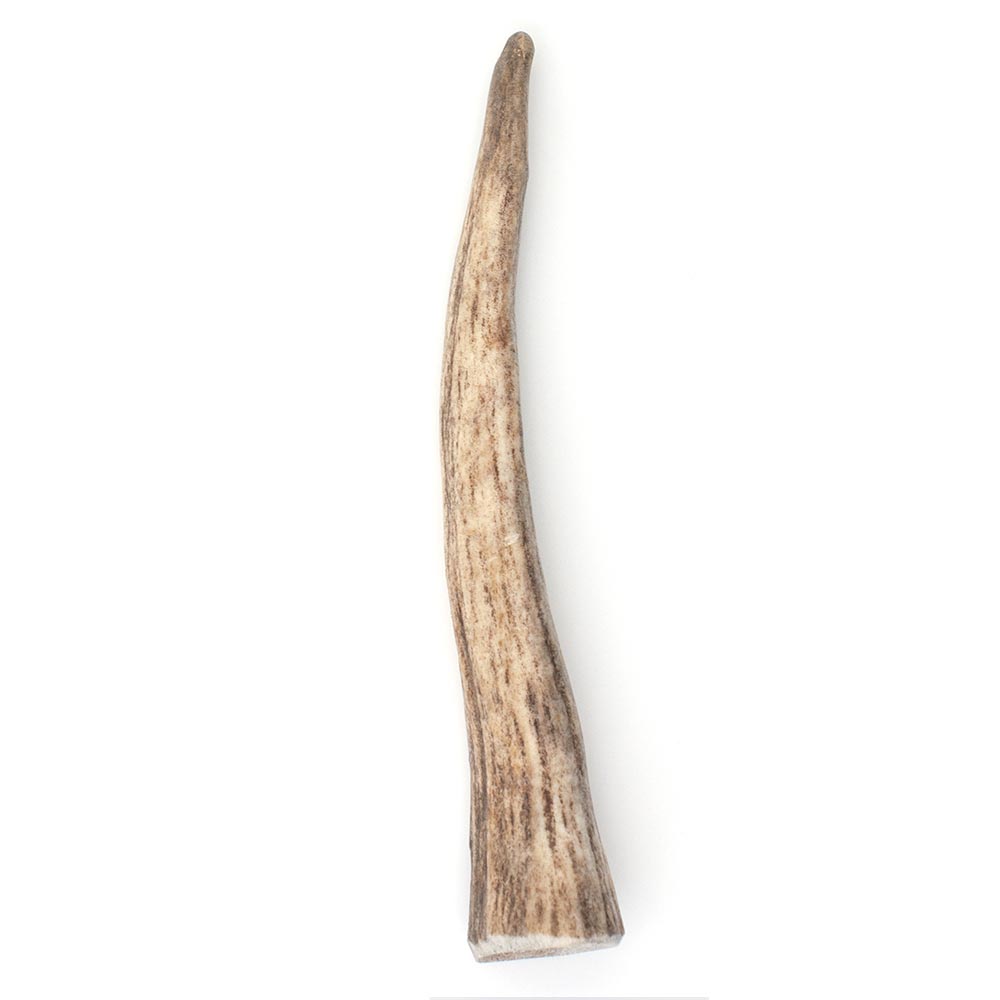 SPIZZLES-ELK-ANTLER-DOG-CHEW-SOLID-SMALL