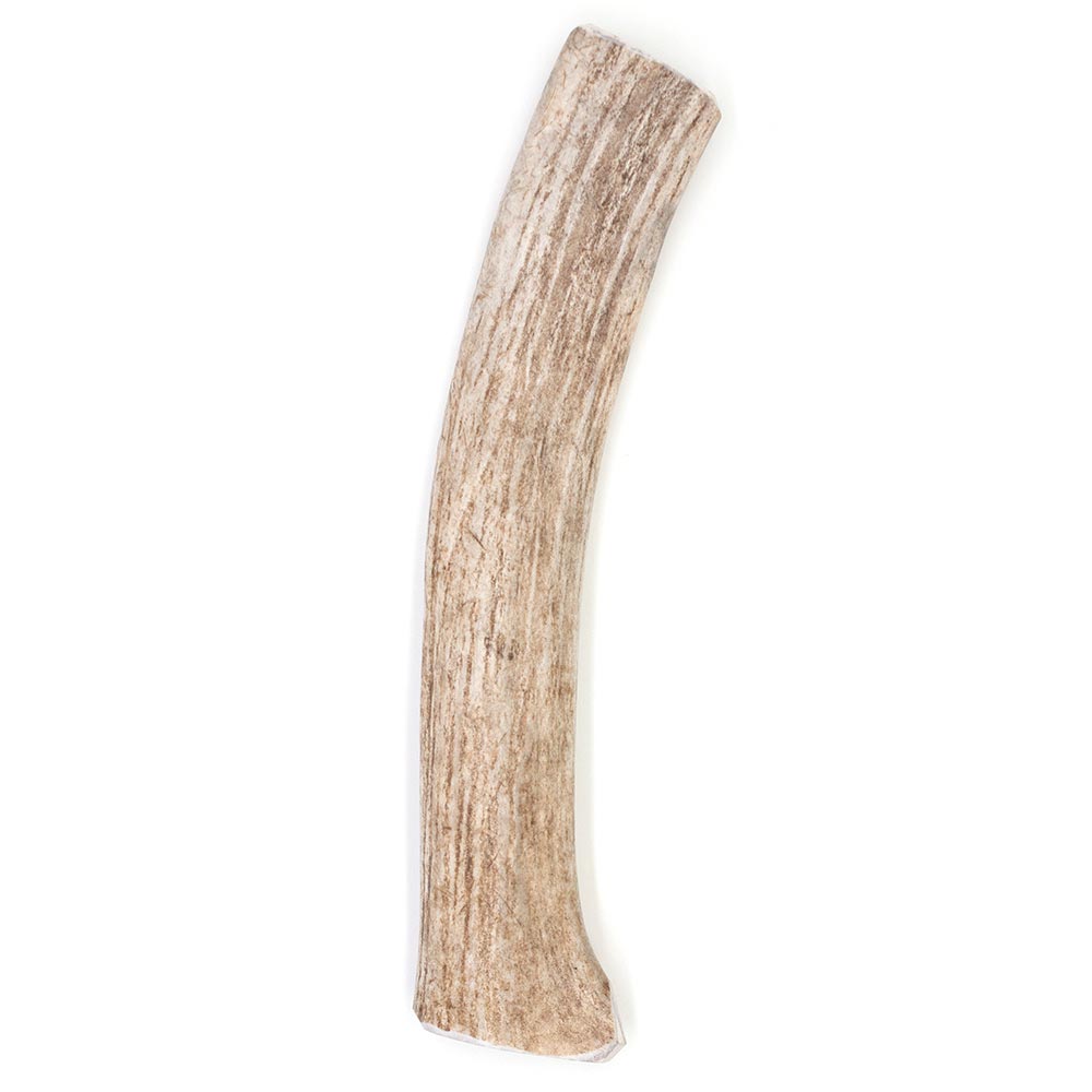 SPIZZLES-ELK-ANTLER-DOG-CHEW-SOLID-XLARGE