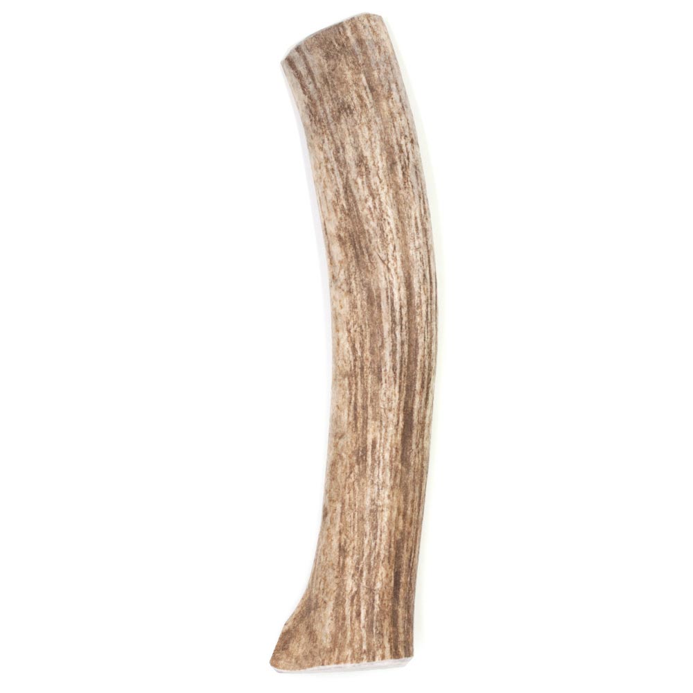 SPIZZLES-ELK-ANTLER-DOG-CHEW-SOLID-XLARGE