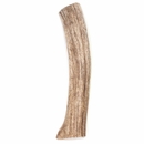 Spizzles Elk Antler Dog Chew - Solid (XLarge) 8"