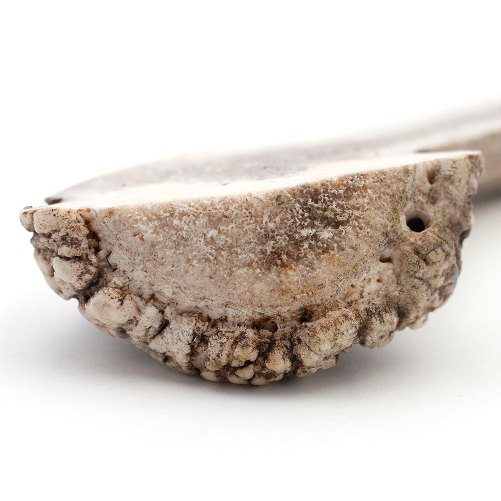 SPIZZLES-ELK-ANTLER-DOG-CHEW-CENTER-CUT-JUMBO