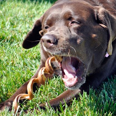 JUMBOSPIZZLETWISTS12PK