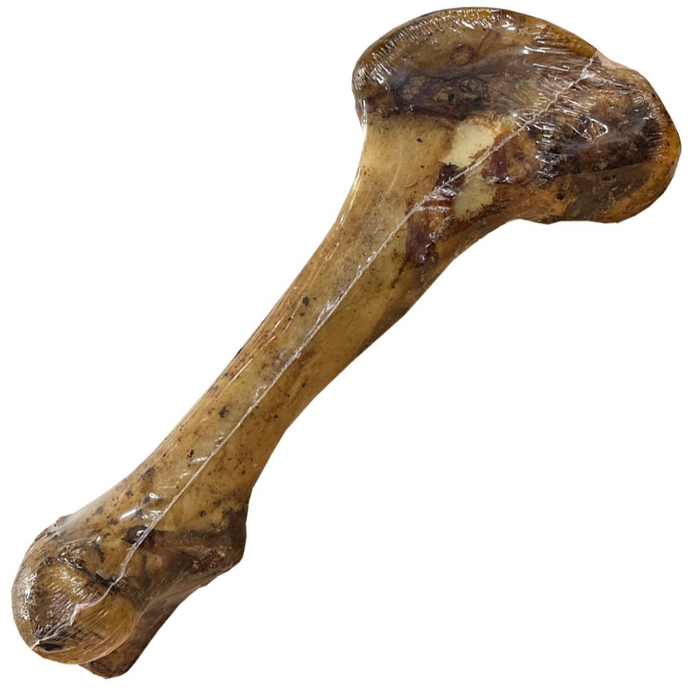 SPIZZLES-MEATY-DINO-BONES-15-18-INCH