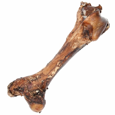 SPIZZLES-MEATY-DINO-BONES-15-18-INCH