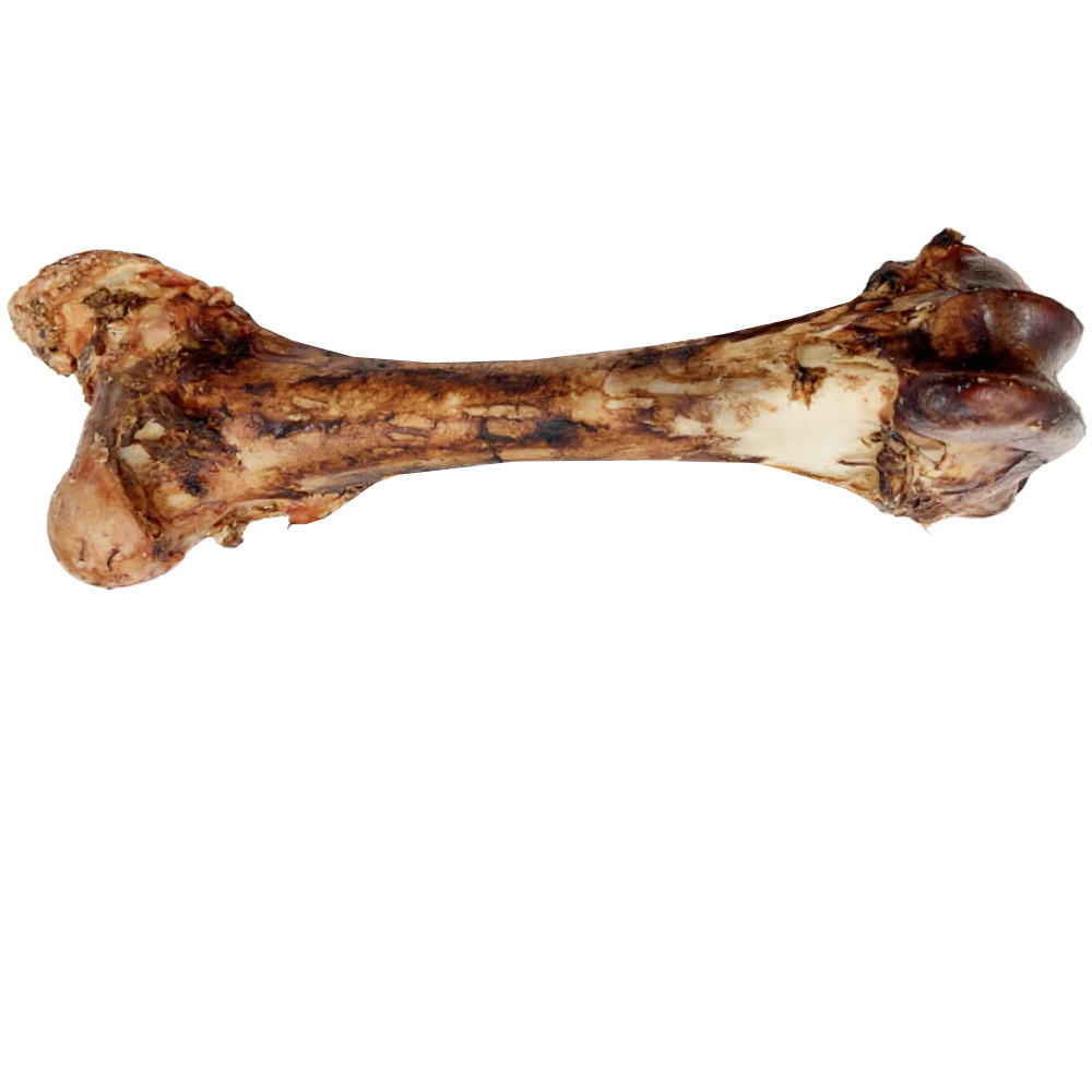 SPIZZLES-MEATY-DINO-BONES-15-18-INCH