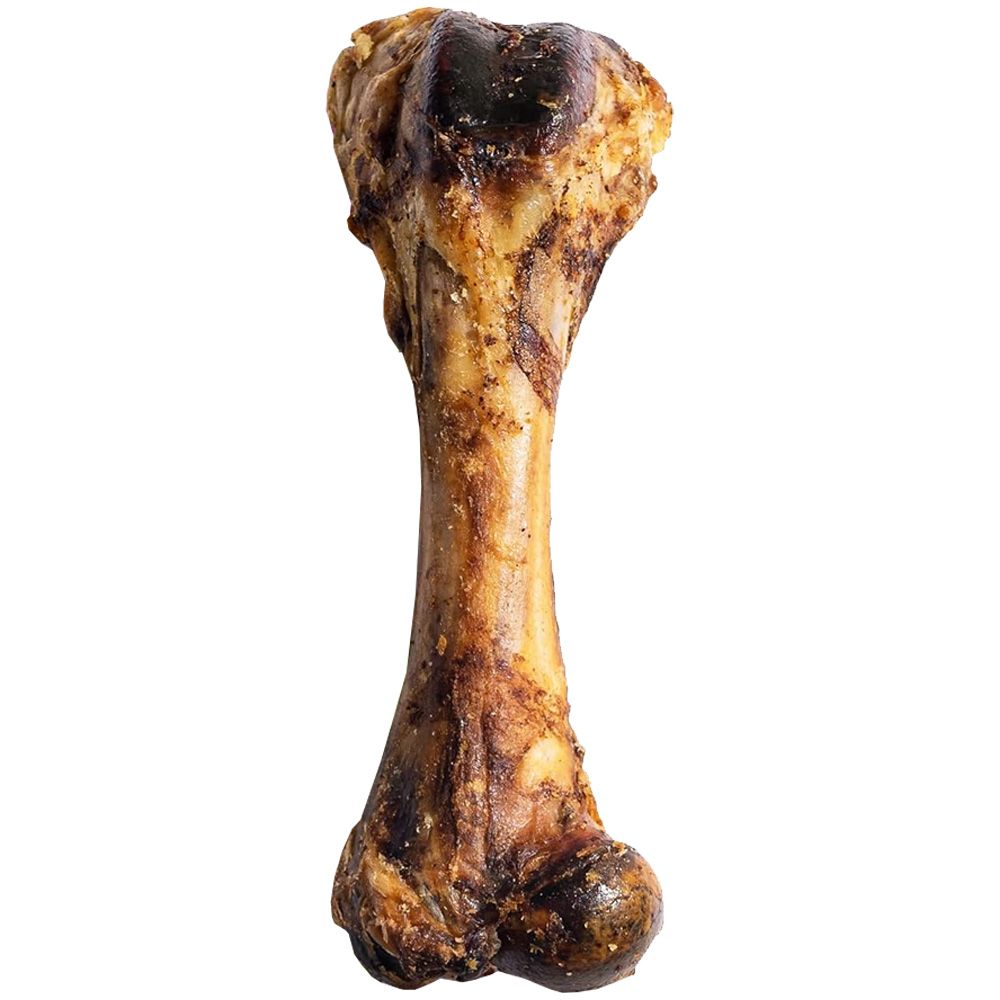 SPIZZLES-MEATY-PORK-FEMUR-BONE-7-9-INCH