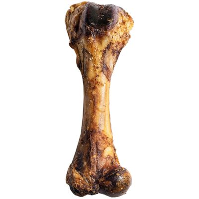 SPIZZLES-MEATY-PORK-FEMUR-BONE-7-9-INCH
