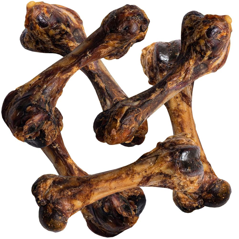 SPIZZLES-MEATY-PORK-FEMUR-BONE-7-9-INCH
