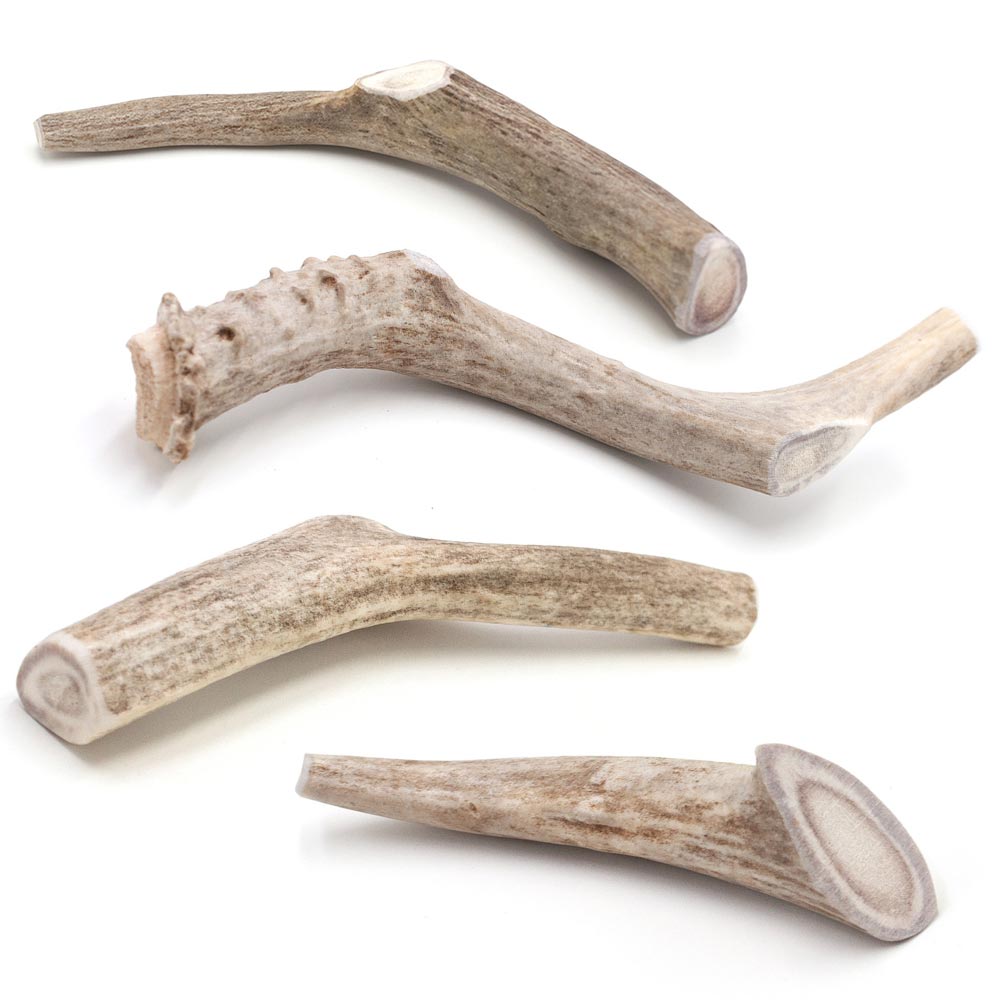 Spizzles Deer Antler Dog Chews
