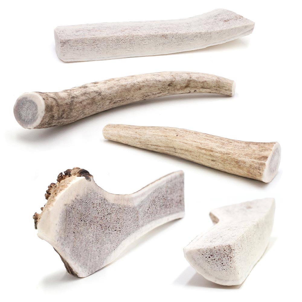 Spizzles Elk Antlers Antlers Dog Chews