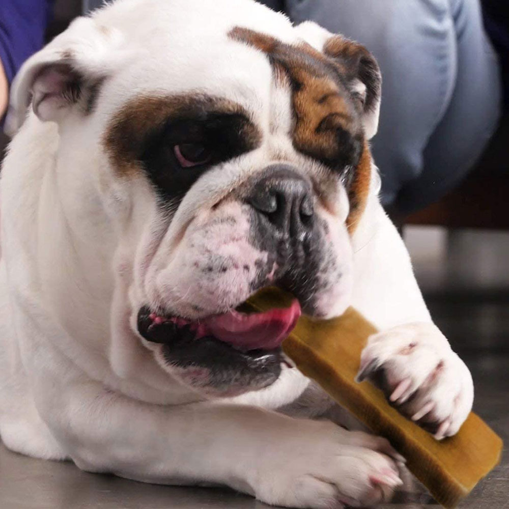 SPIZZLES-YAK-CHEWS-DOG-TREAT-XX-LG-PK3