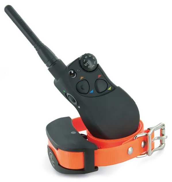 SportDog Remote Training