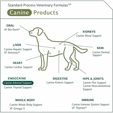 STANDARD-PROCESS-CANINE-ADRENAL-SUPPORT-25G
