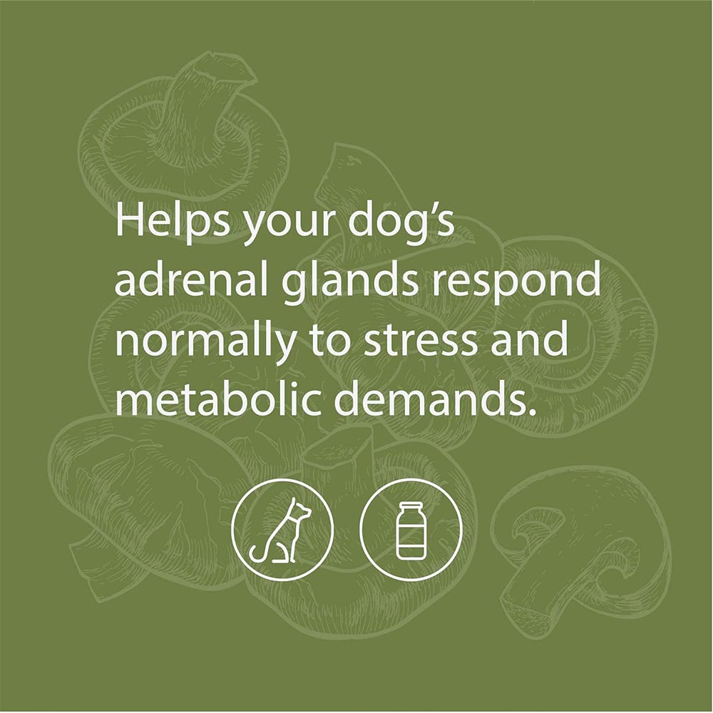 STANDARD-PROCESS-CANINE-ADRENAL-SUPPORT-25G