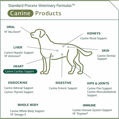 STANDARD-PROCESS-CANINE-CARDIAC-SUPPORT-100G