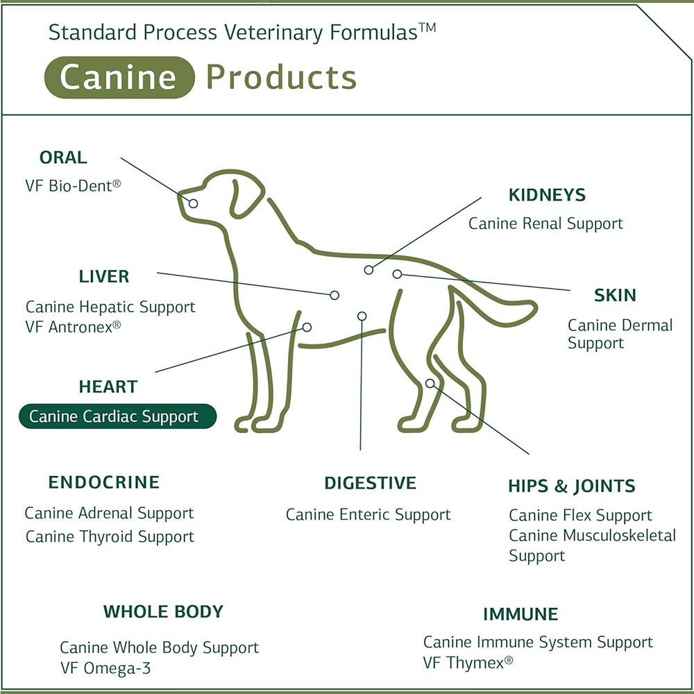 STANDARD-PROCESS-CANINE-CARDIAC-SUPPORT-100G