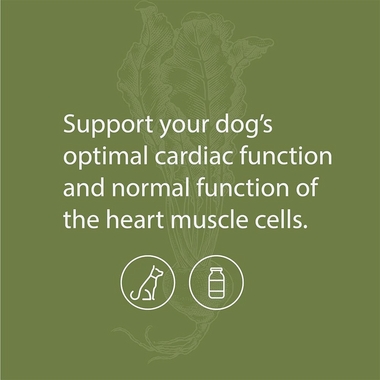STANDARD-PROCESS-CANINE-CARDIAC-SUPPORT-100G