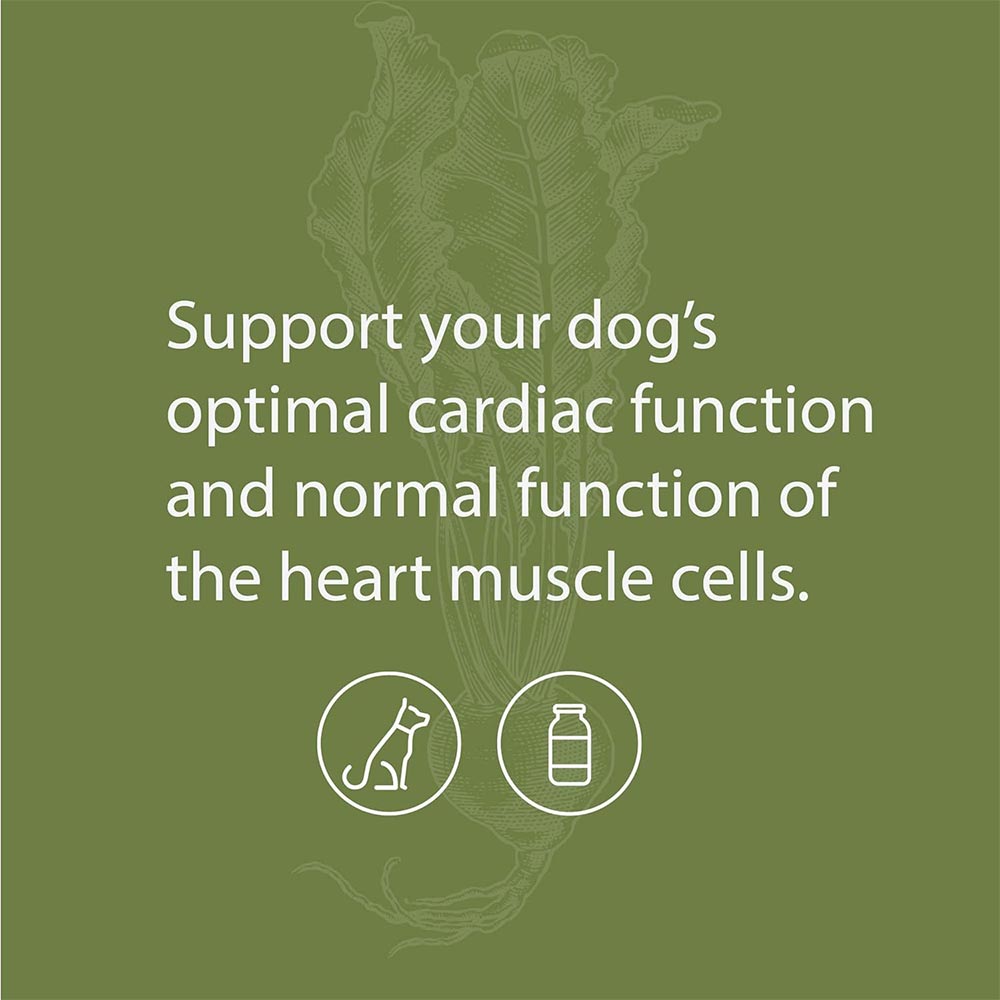 STANDARD-PROCESS-CANINE-CARDIAC-SUPPORT-100G