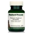 Standard Process Canine Cardiac Support Powder (25 g)