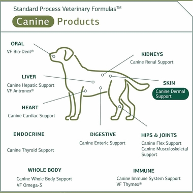 STANDARD-PROCESS-CANINE-DERMAL-SUPPORT-125G