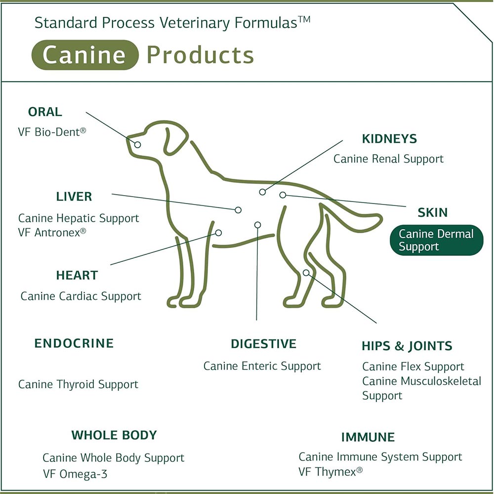 STANDARD-PROCESS-CANINE-DERMAL-SUPPORT-125G