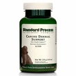 Standard Process Canine Dermal Support Powder (125 g)