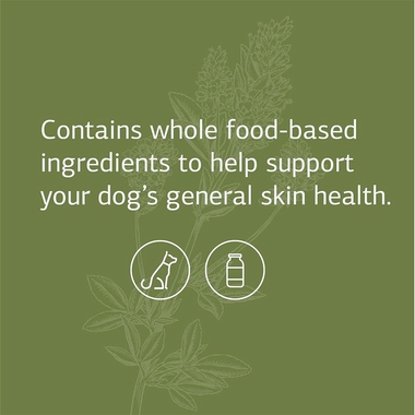 STANDARD-PROCESS-CANINE-DERMAL-SUPPORT-125G