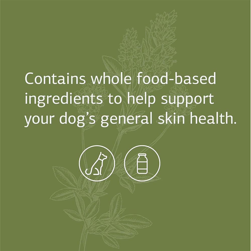 STANDARD-PROCESS-CANINE-DERMAL-SUPPORT-125G