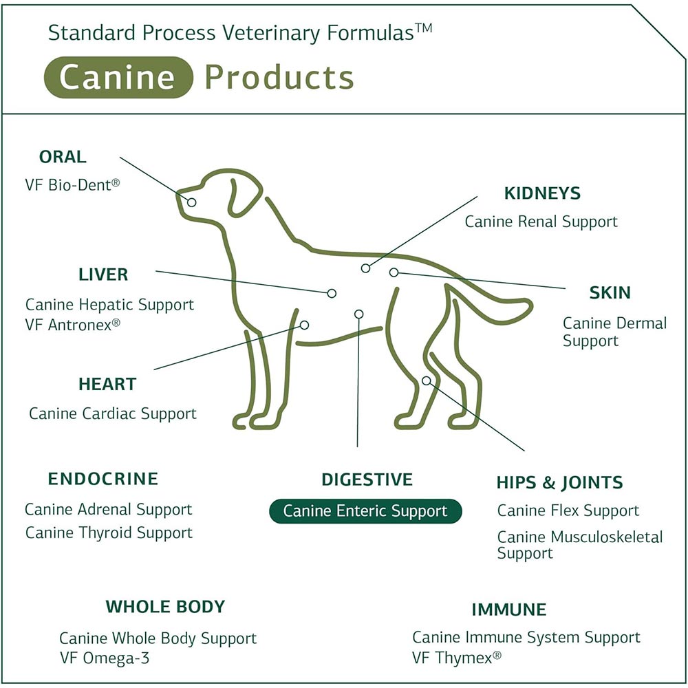 STANDARD-PROCESS-CANINE-ENTERIC-SUPPORT-110G
