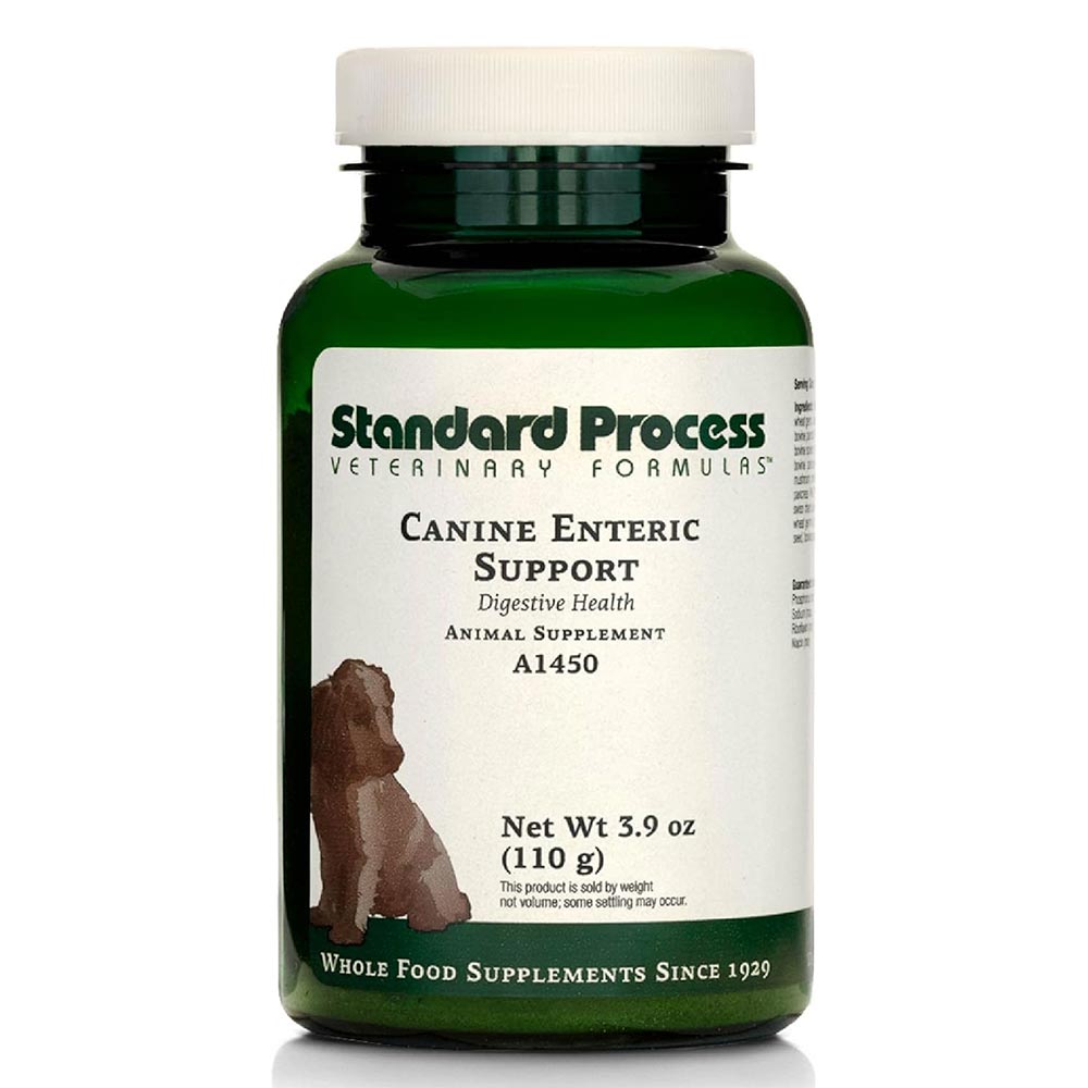 STANDARD-PROCESS-CANINE-ENTERIC-SUPPORT-110G