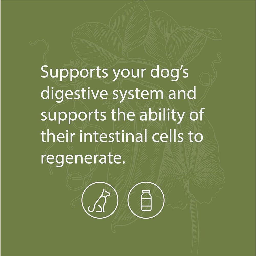 STANDARD-PROCESS-CANINE-ENTERIC-SUPPORT-110G