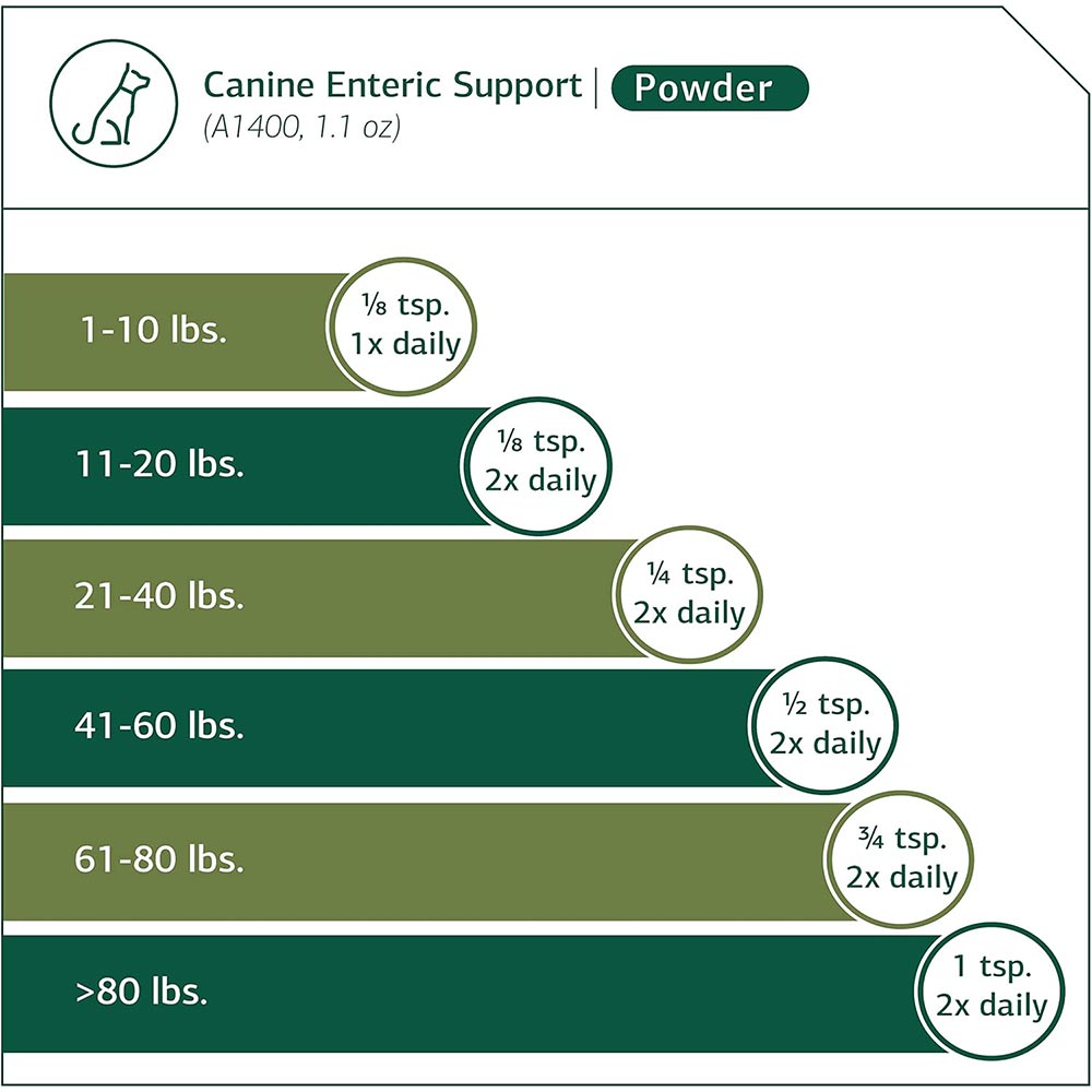 STANDARD-PROCESS-CANINE-ENTERIC-SUPPORT-110G