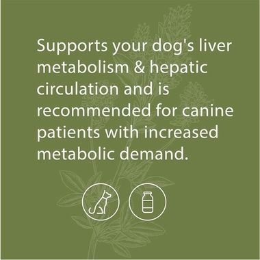 STANDARD-PROCESS-CANINE-HEPATIC-SUPPORT-110G