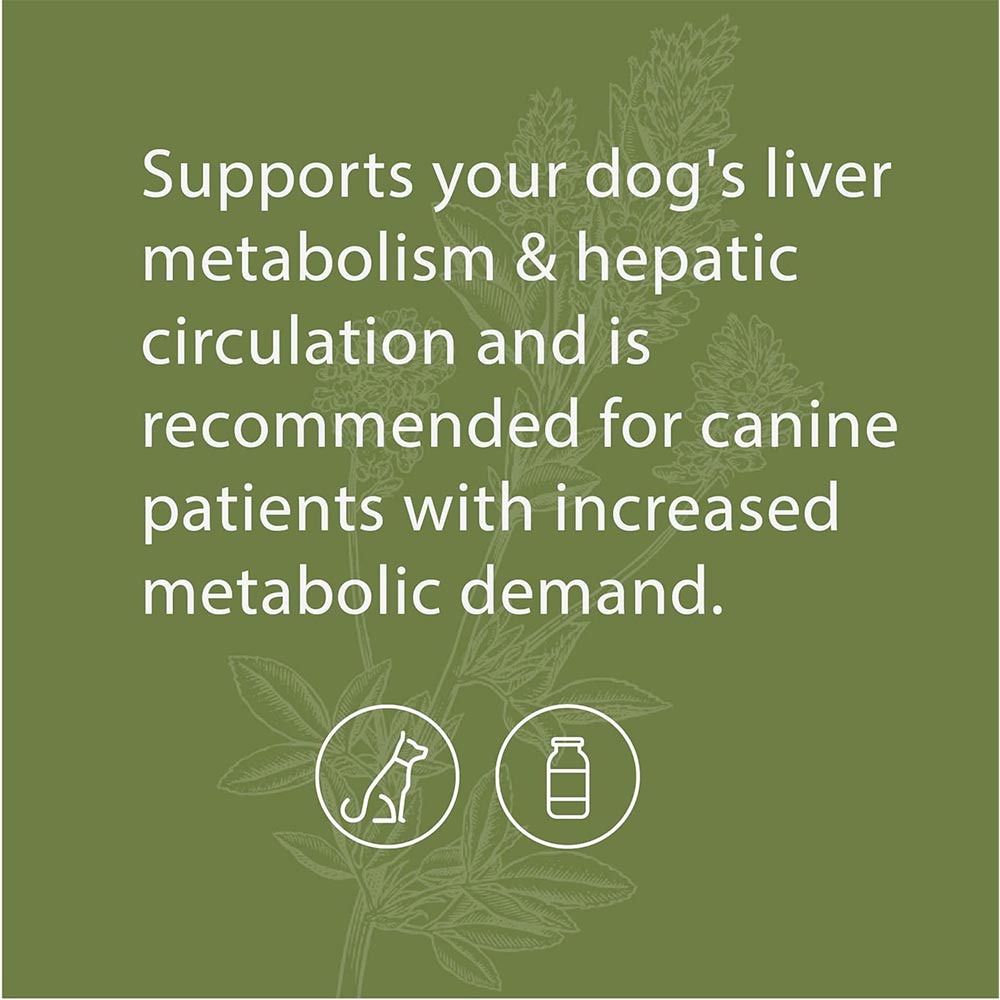 STANDARD-PROCESS-CANINE-HEPATIC-SUPPORT-110G