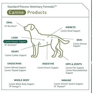 STANDARD-PROCESS-CANINE-HEPATIC-SUPPORT-110G