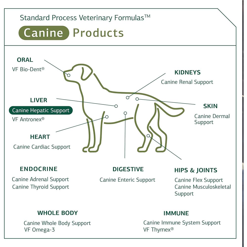 STANDARD-PROCESS-CANINE-HEPATIC-SUPPORT-110G