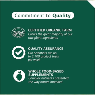 STANDARD-PROCESS-CANINE-HEPATIC-SUPPORT-110G
