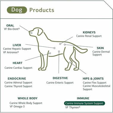 STANDARD-PROCESS-CANINE-IMMUNE-SYSTEM-SUPPORT-110G