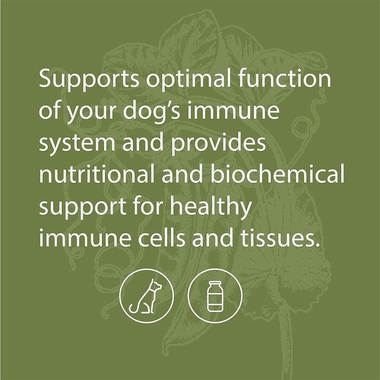 STANDARD-PROCESS-CANINE-IMMUNE-SYSTEM-SUPPORT-110G