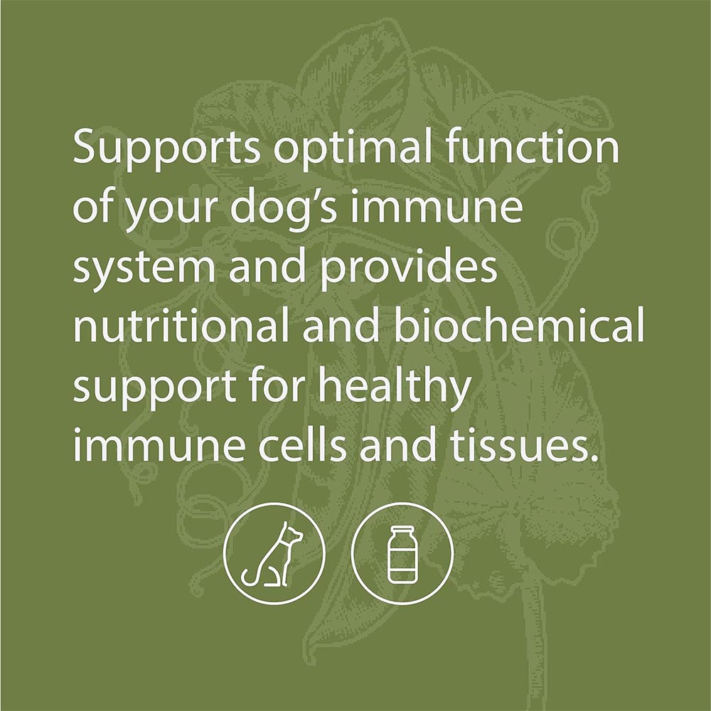STANDARD-PROCESS-CANINE-IMMUNE-SYSTEM-SUPPORT-110G