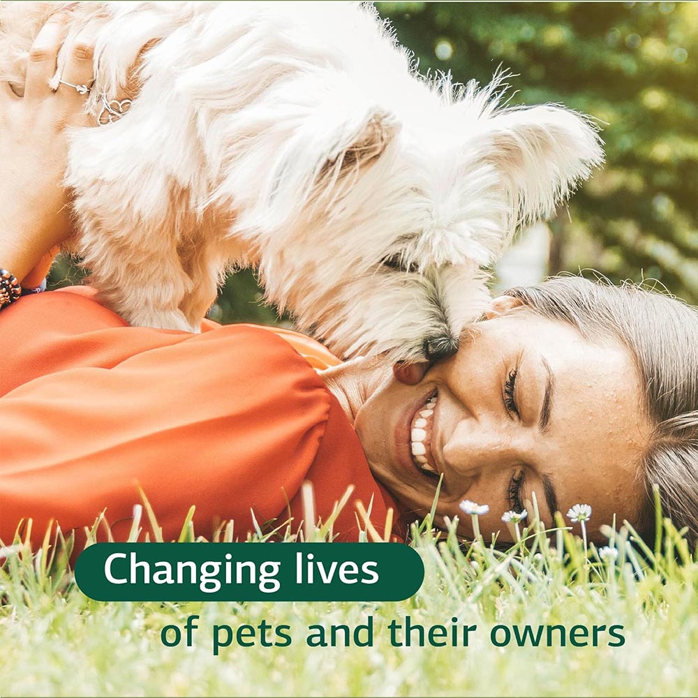 STANDARD-PROCESS-CANINE-IMMUNE-SYSTEM-SUPPORT-110G