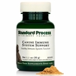 Standard Process Canine Immune System Support Powder (30 g)