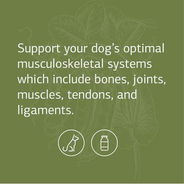 STANDARD-PROCESS-CANINE-MUSCULOSKELETAL-SUPPORT-120G