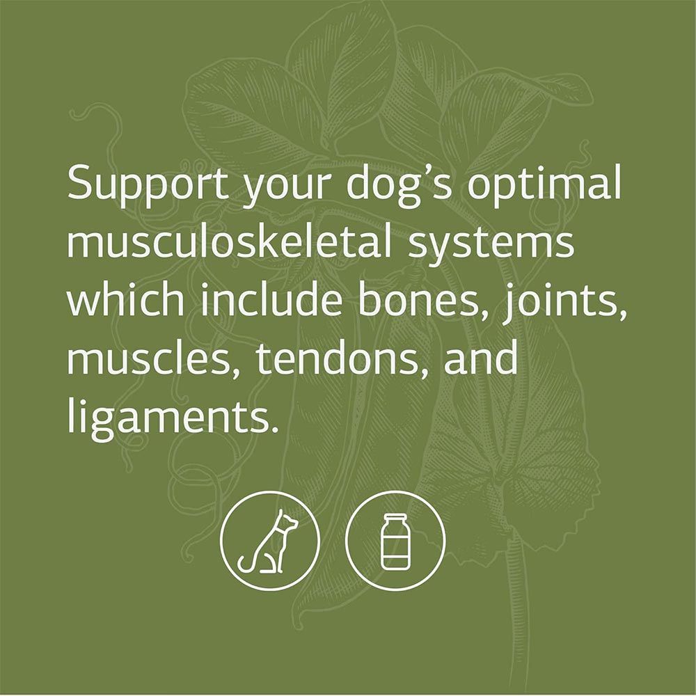 STANDARD-PROCESS-CANINE-MUSCULOSKELETAL-SUPPORT-120G