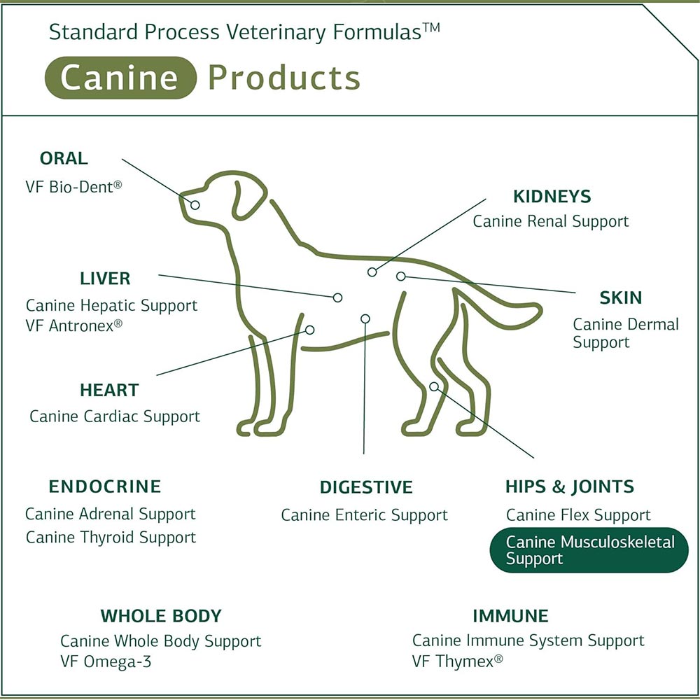 STANDARD-PROCESS-CANINE-MUSCULOSKELETAL-SUPPORT-120G