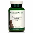 Standard Process Canine Musculoskeletal Support Powder (120 g)