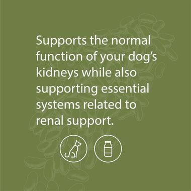 STANDARD-PROCESS-CANINE-RENAL-SUPPORT-110G