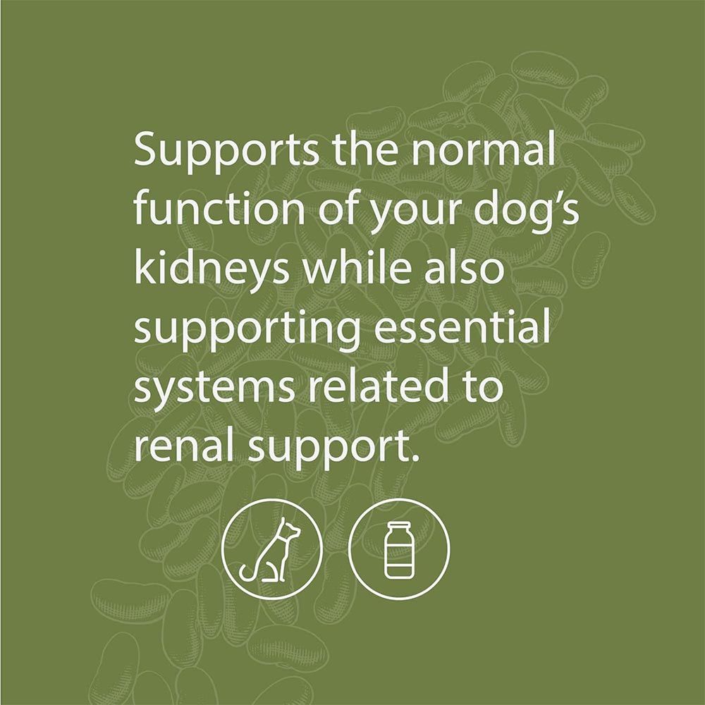 STANDARD-PROCESS-CANINE-RENAL-SUPPORT-110G